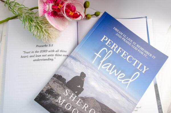 Perfectly Flawed - Sherona Moodley - a memoir - Image 4